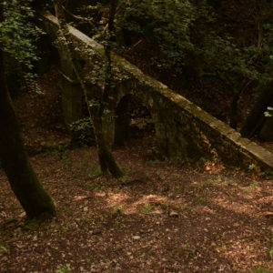 une vieux pond en pierre,trouvé en milieu de foret